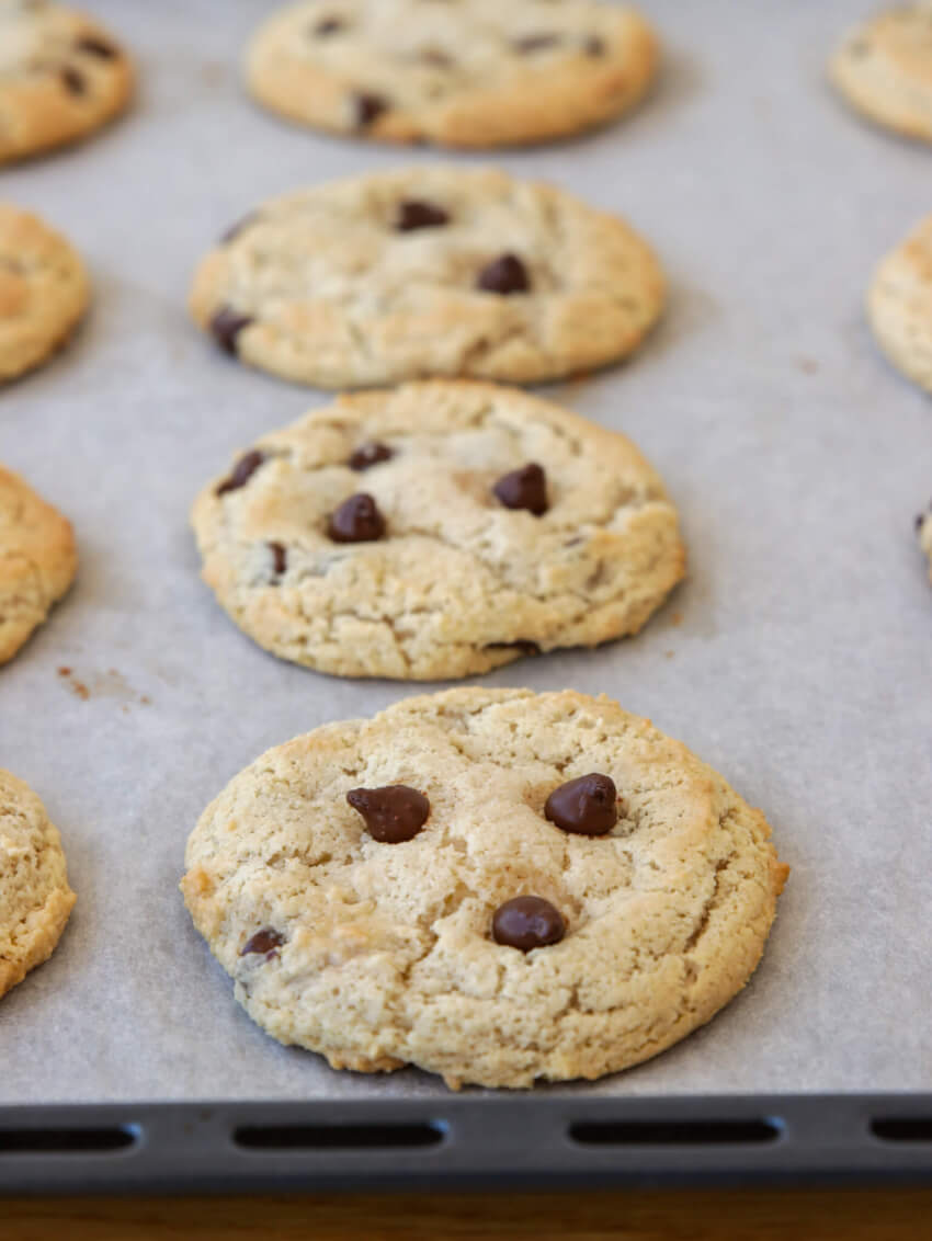 ALMOND FLOUR CHOCOLATE CHIP COOKIES