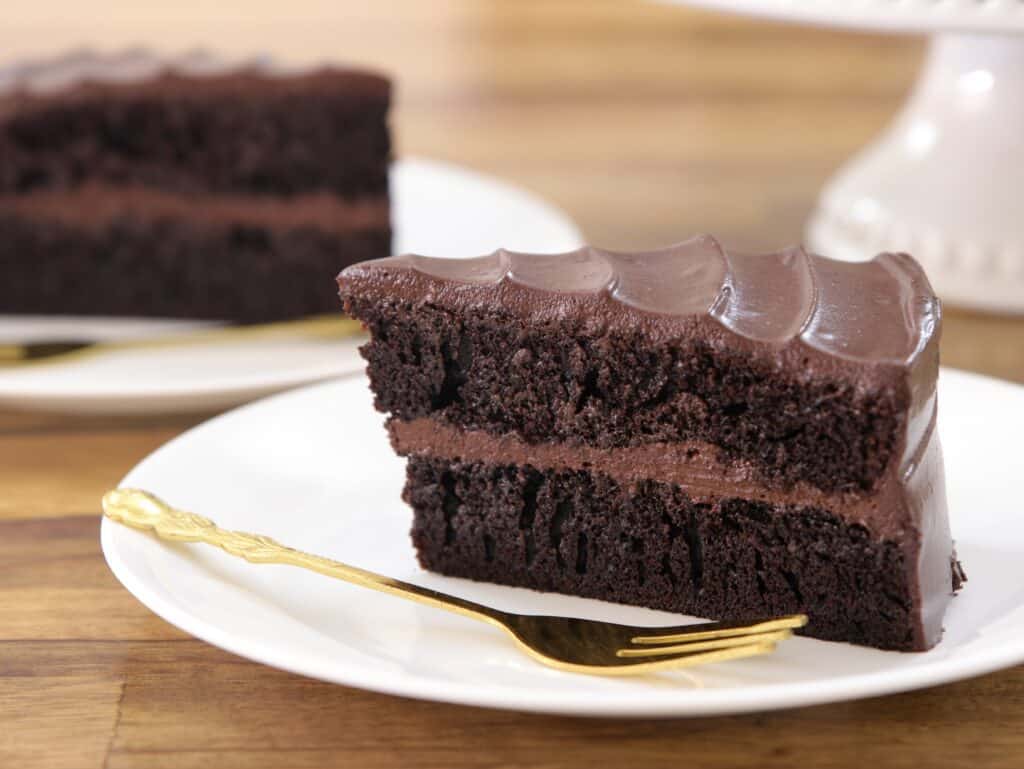 moist chocolate cake