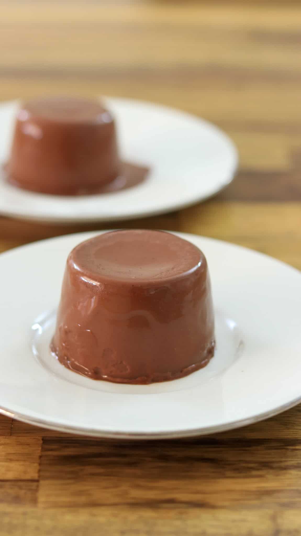 dark chocolate panna cotta served on a white plate