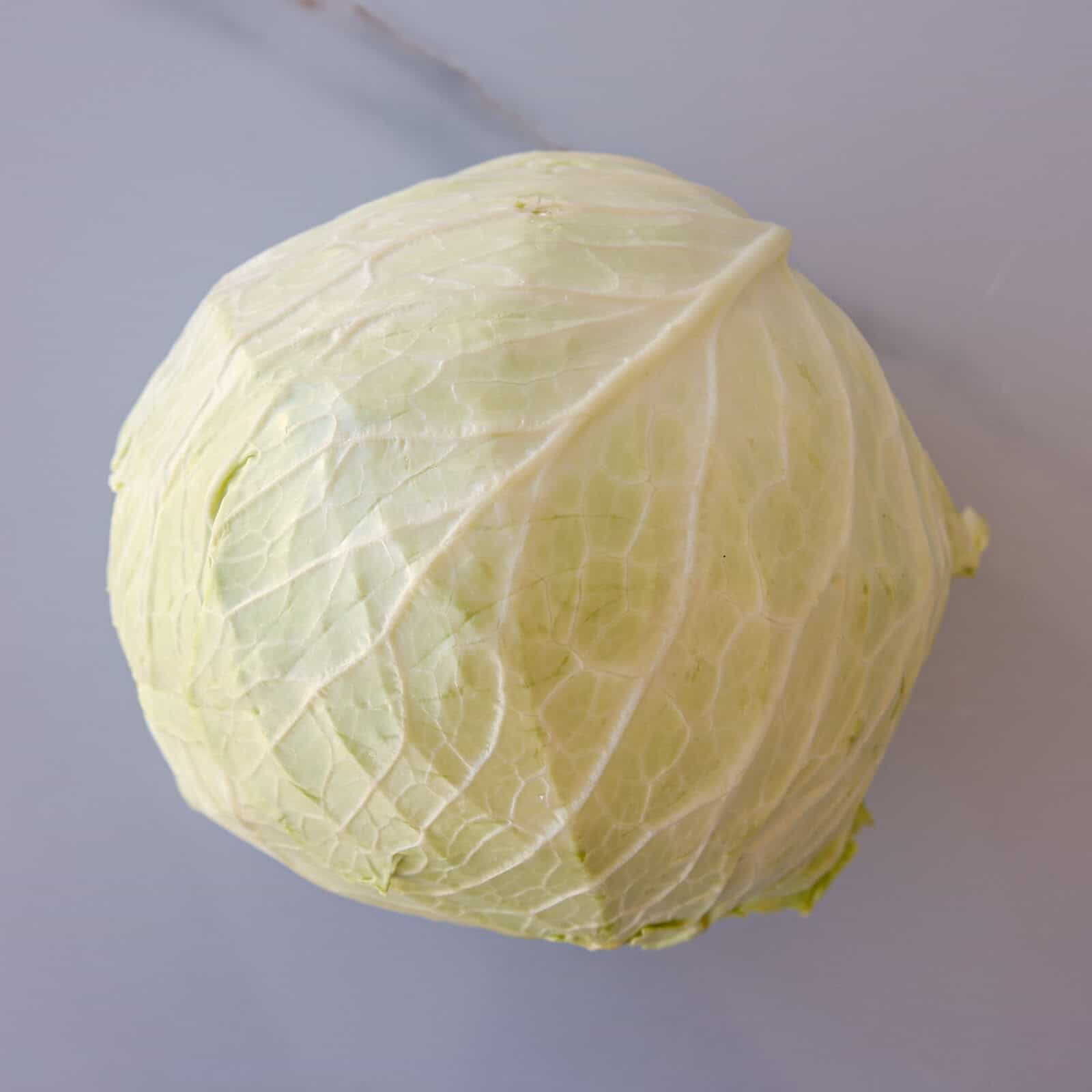 A whole head of pale green cabbage with tightly packed leaves, placed on a light gray surface.