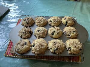 Twelve freshly baked blueberry muffins with crumb topping sit in a muffin pan on a cooling rack, on top of a green tablecloth.