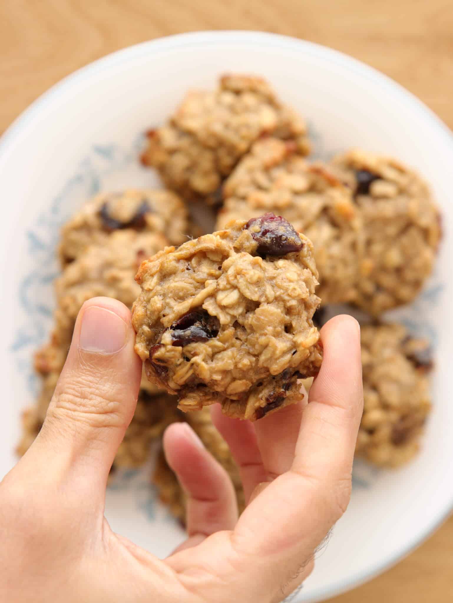 Oatmeal Cashew Cookies