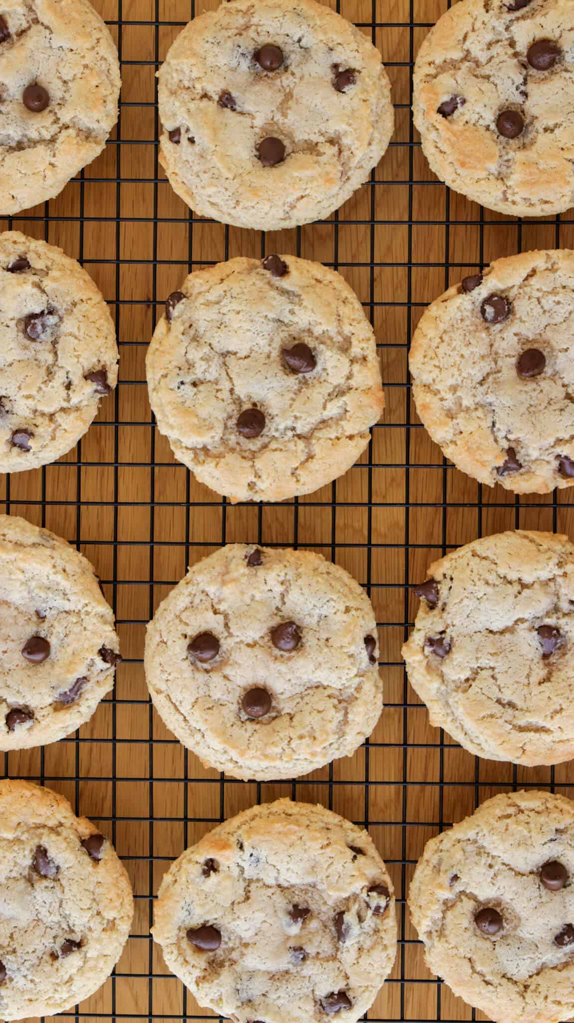 almond flour chocolate chip cookies