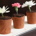 Three small terracotta pots filled with chocolate cake and topped with edible flowers, including one white, one pink, and one light green flower, are displayed on a white rectangular plate against a dark background.