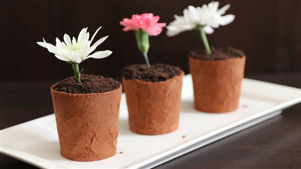 Three small terracotta pots filled with chocolate cake and topped with edible flowers, including one white, one pink, and one light green flower, are displayed on a white rectangular plate against a dark background.