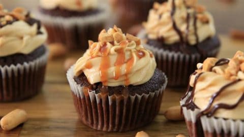 Chocolate cupcakes with creamy frosting topped with caramel drizzle and chopped nuts are displayed on a wooden surface. Some cupcakes also include a chocolate drizzle, and whole peanuts are scattered around the cupcakes.