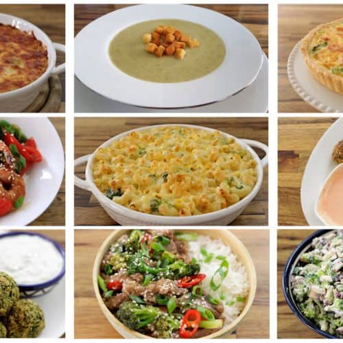 A collage of nine food dishes: baked lasagna, creamy soup with croutons, broccoli quiche, shrimp stir-fry, mac and cheese, fried balls with sauce, falafel with dip, bowl of beef and veggies, and a bowl of broccoli salad.