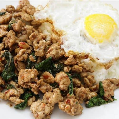 A plate of Thai basil chicken stir-fry served with a fried egg on steamed white rice. The dish showcases minced chicken mixed with basil leaves and red chili slices, next to a sunny-side-up egg with a runny yolk.