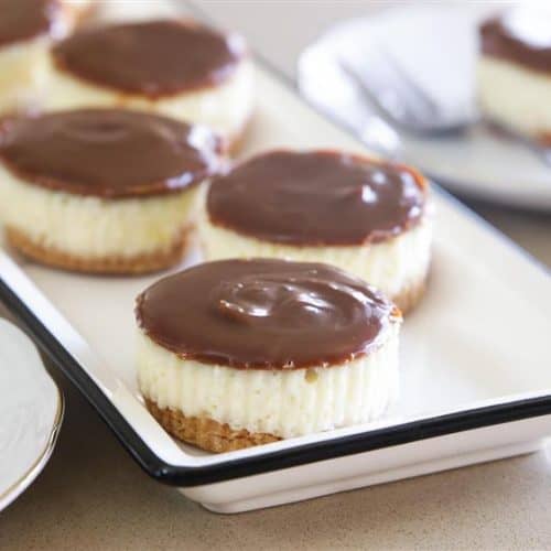 A close-up view of several small cheesecakes topped with a layer of chocolate ganache, neatly arranged on a white rectangular serving platter. A single cheesecake is placed separately on a white plate with a fork in the background.