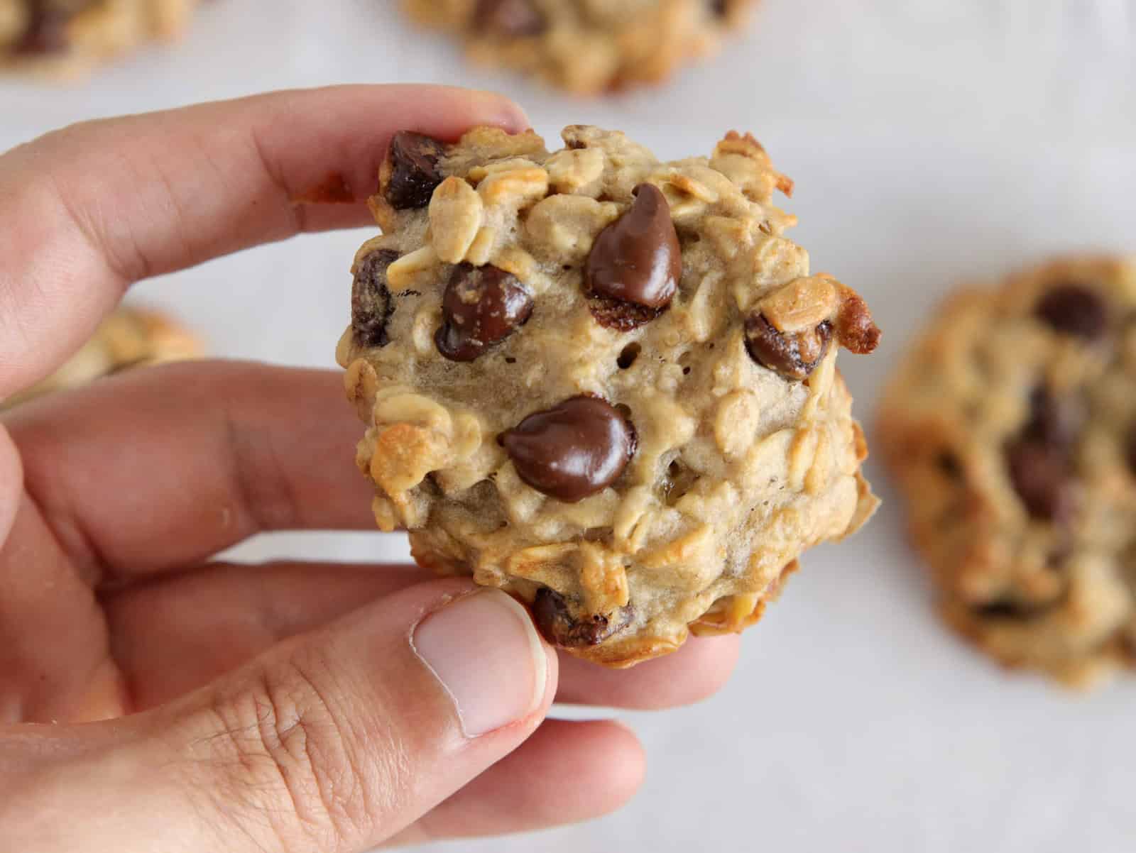 oatmeal chocolate chip cookies