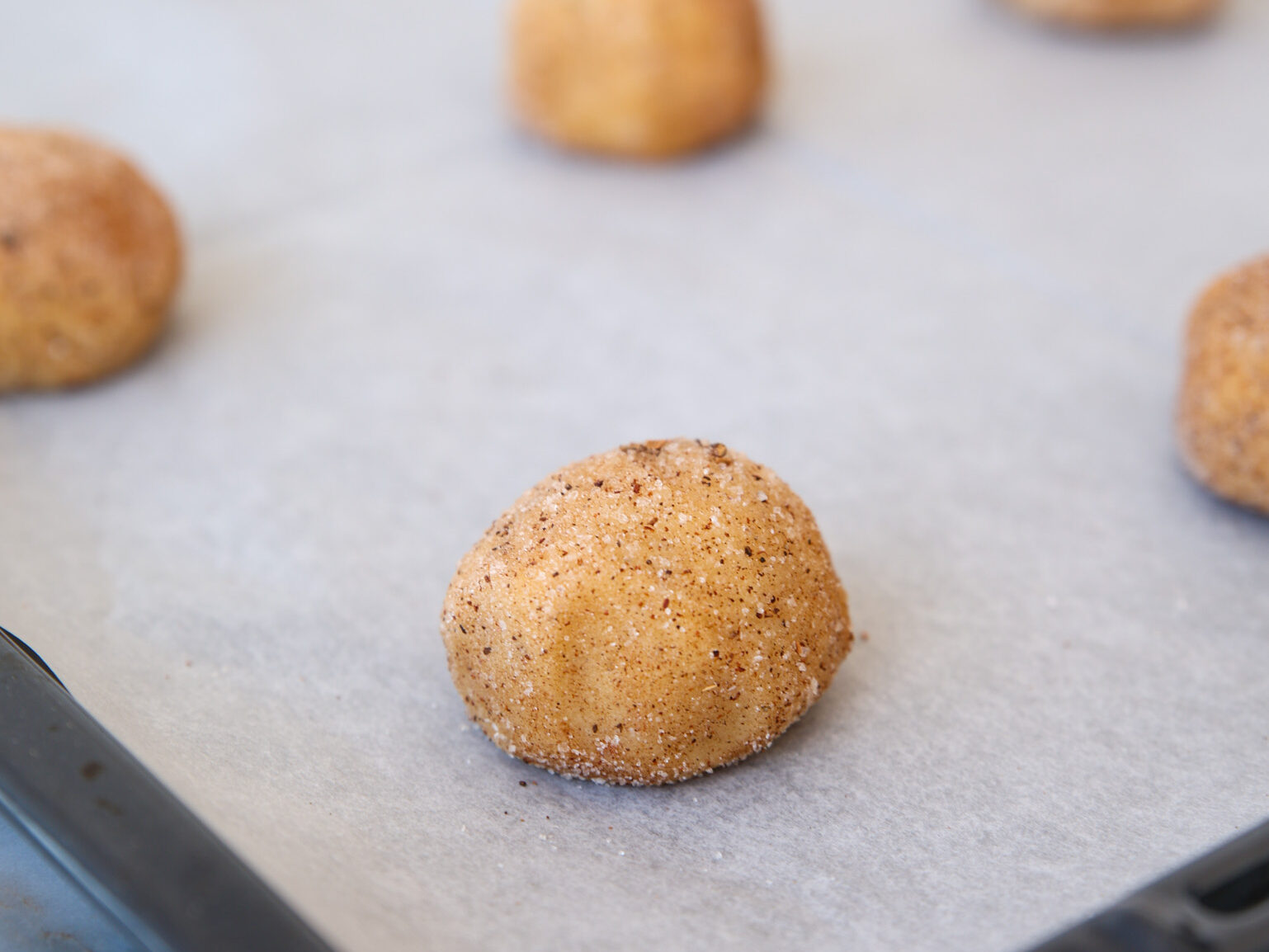 snickerdoodle cookie dough