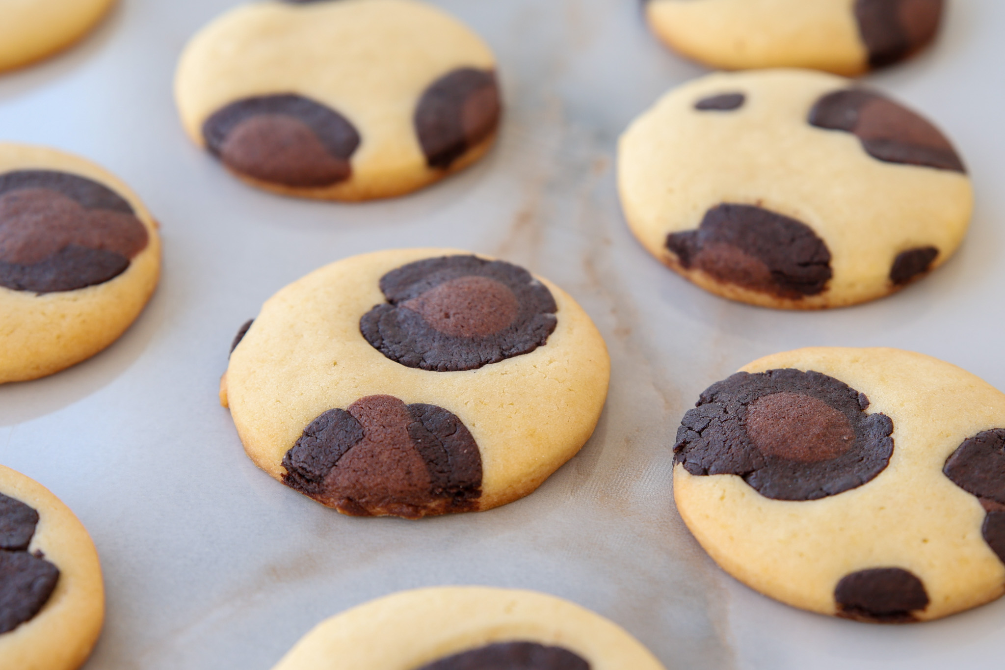 Beautifull animal print cookies