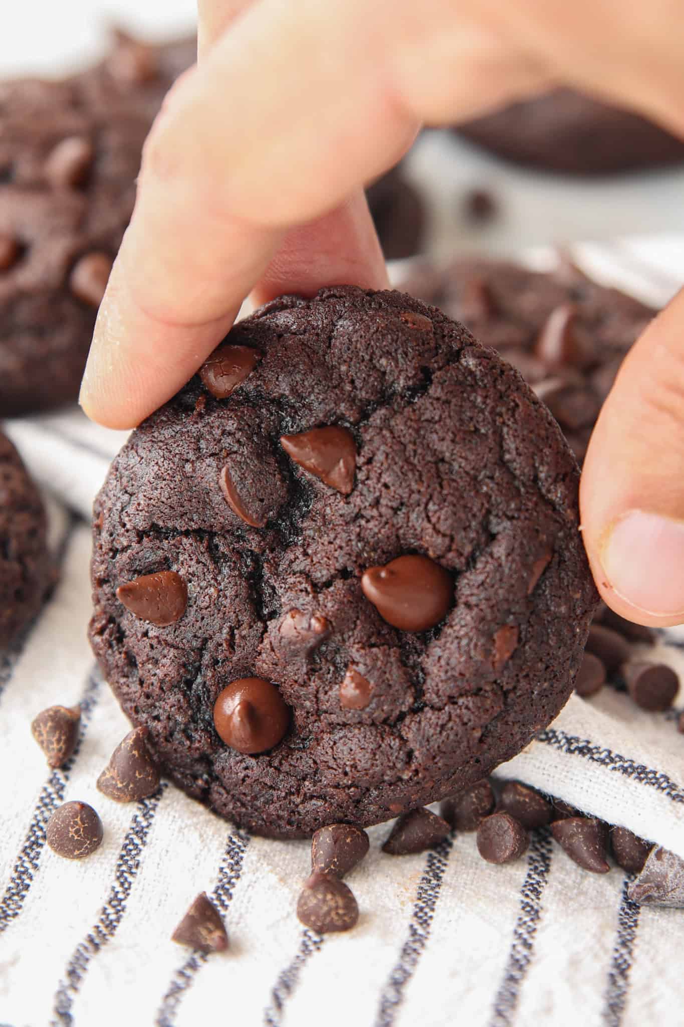 A hand holding a double chocolate chip cookie