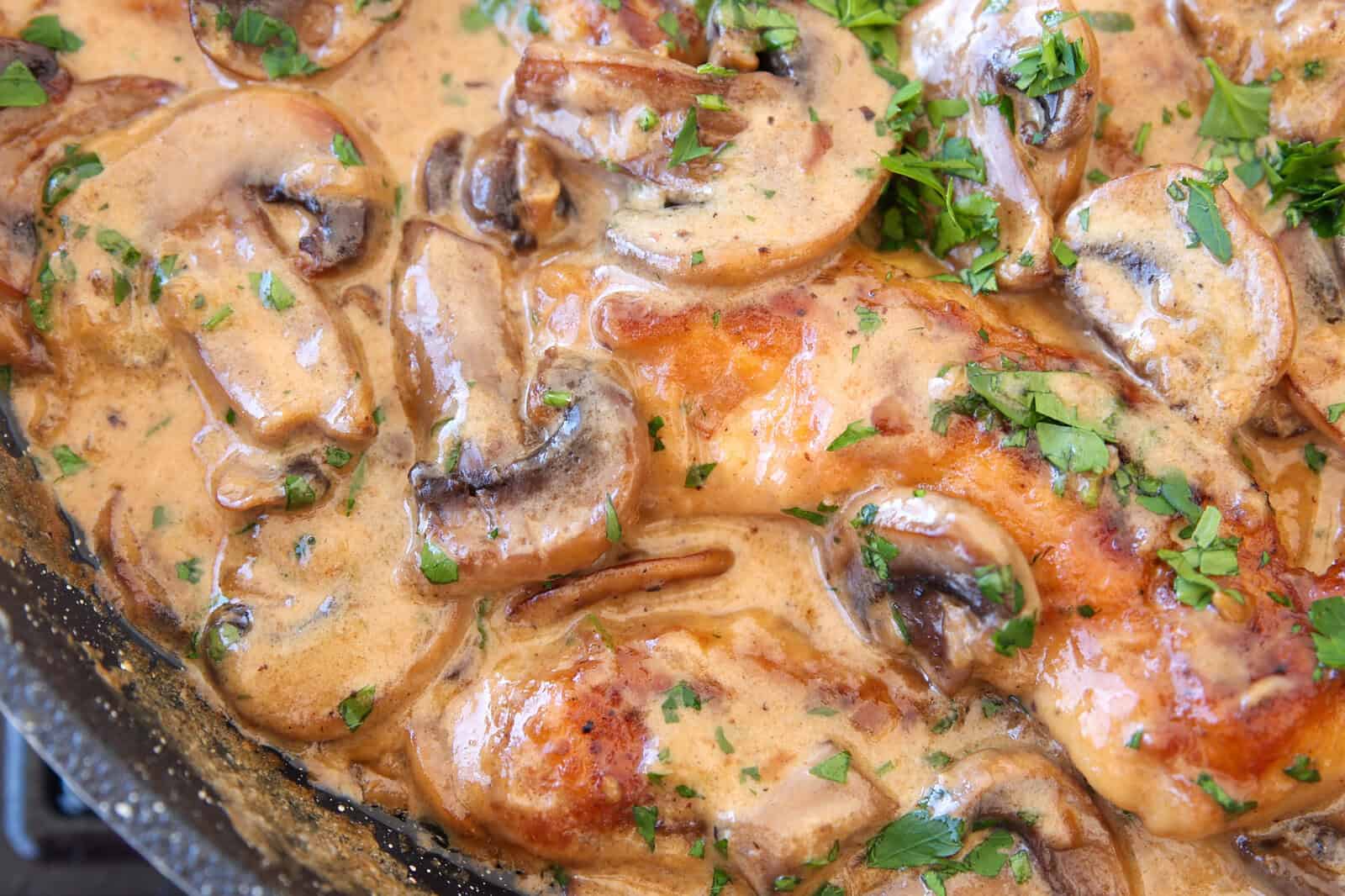 Creamy Mushroom Chicken Recipe - The Cooking Foodie