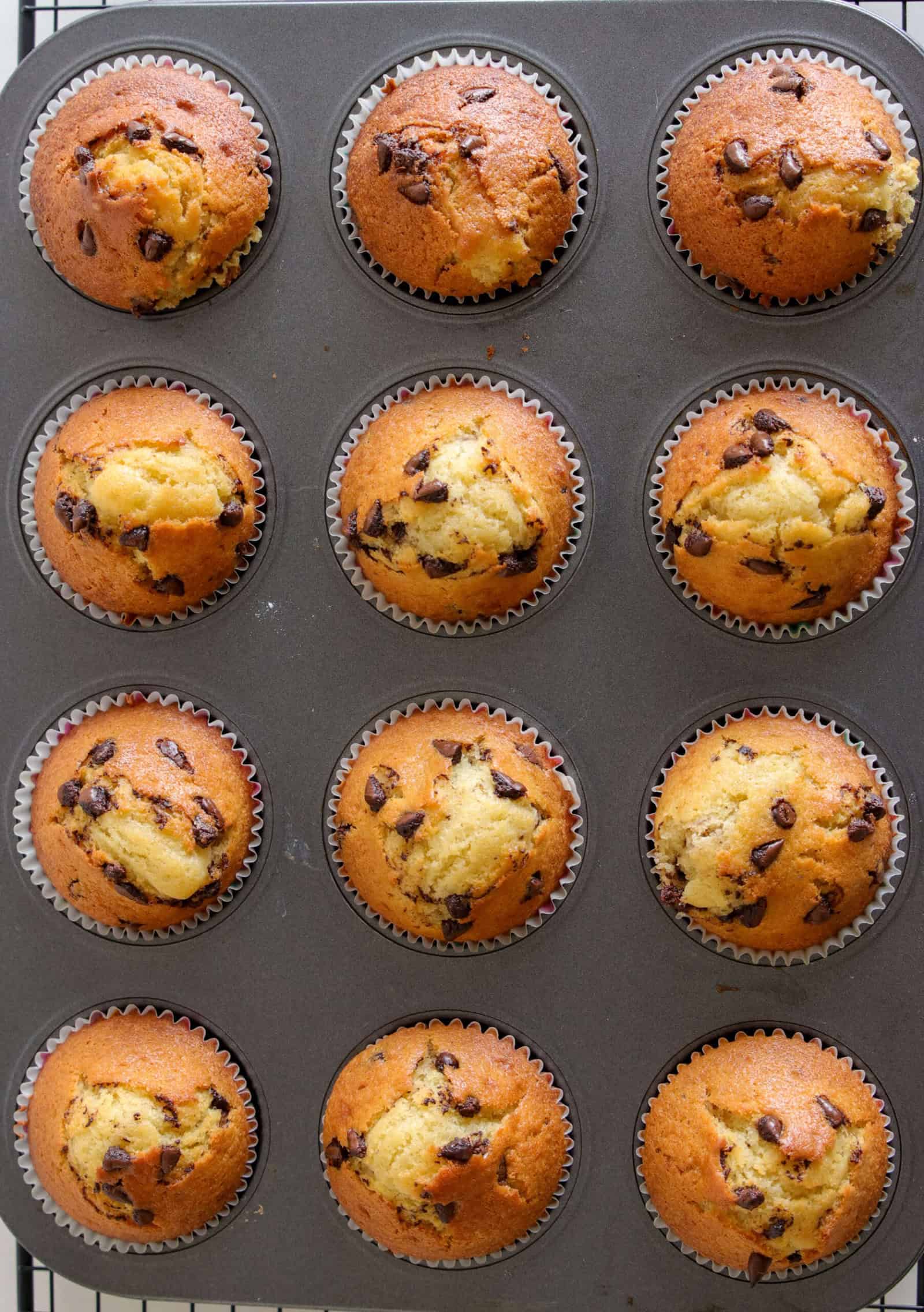 A muffin tin holding twelve freshly baked chocolate chip muffins, golden brown in color with visible chocolate chips on top, each in a paper liner.
