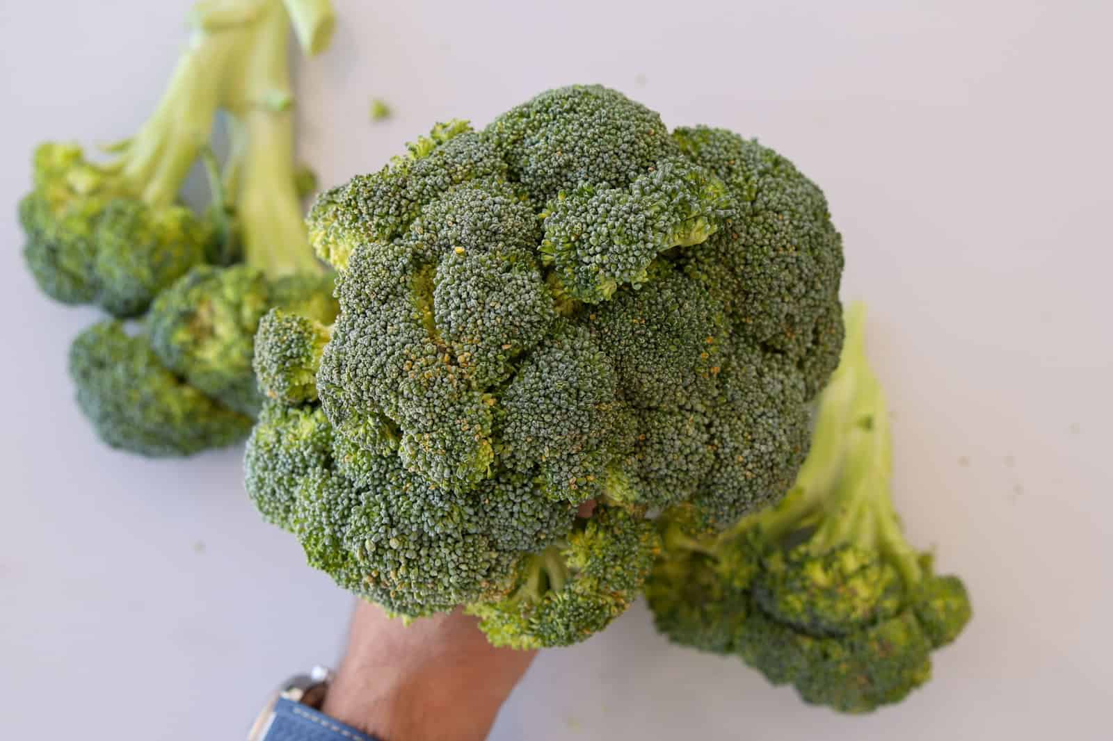 A hand holding a large, fresh head of broccoli with a light background and additional broccoli pieces in the back.
