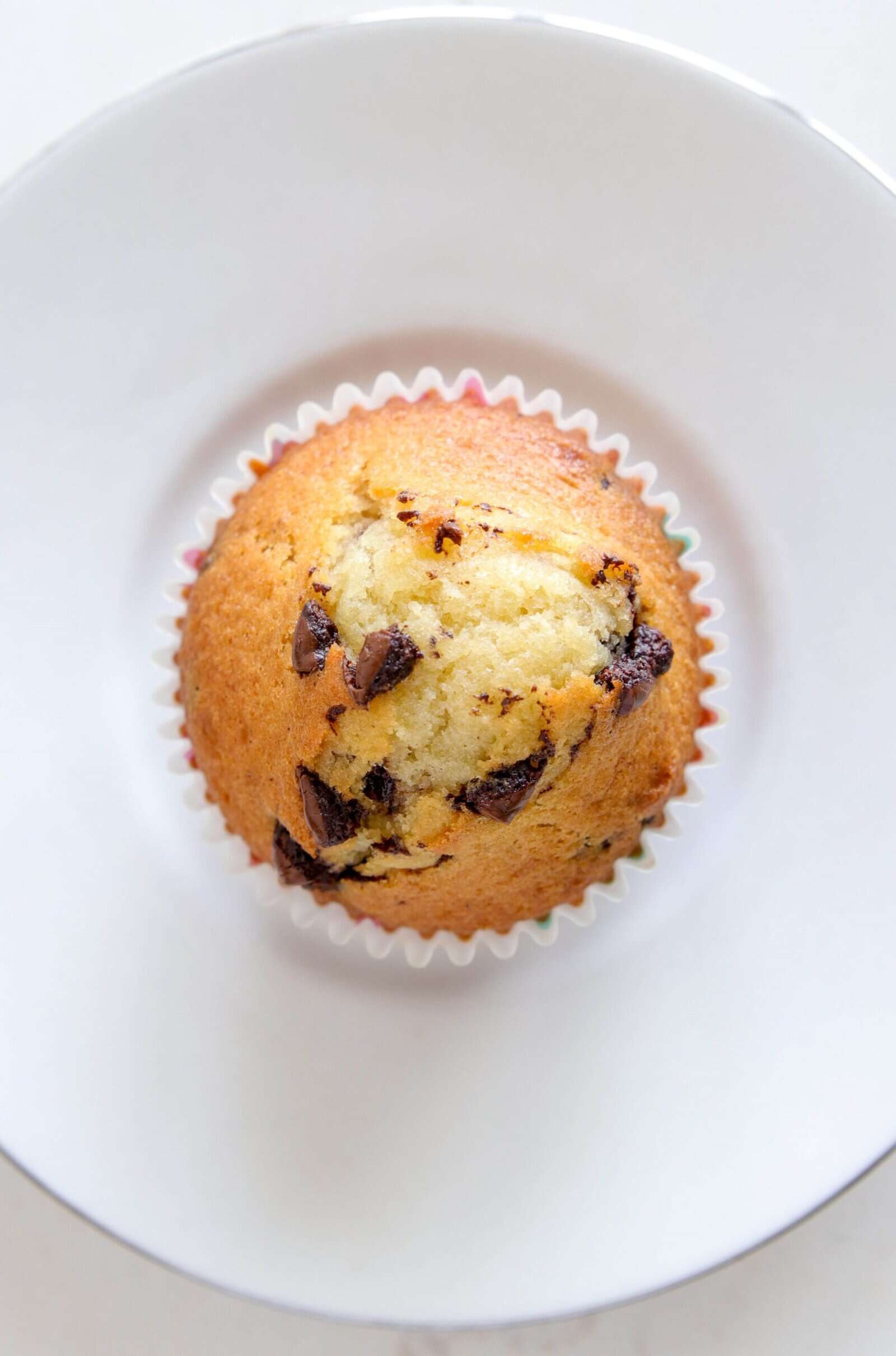 A single chocolate chip muffin in a white paper liner, placed on a white plate, viewed from above.