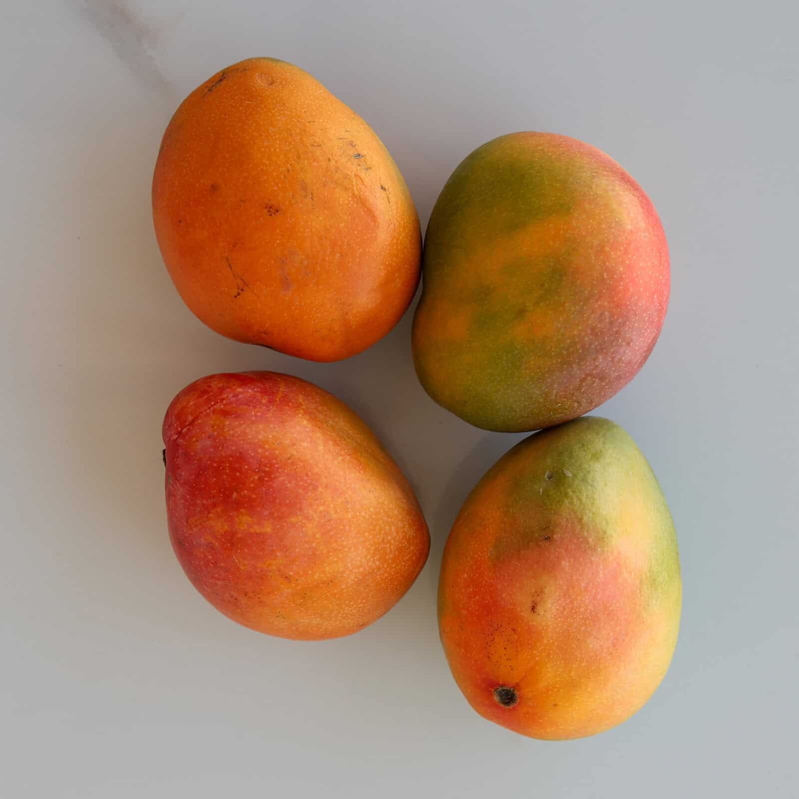 Four ripe mangoes with shades of orange, yellow, and green are arranged in a square on a light, smooth surface.
