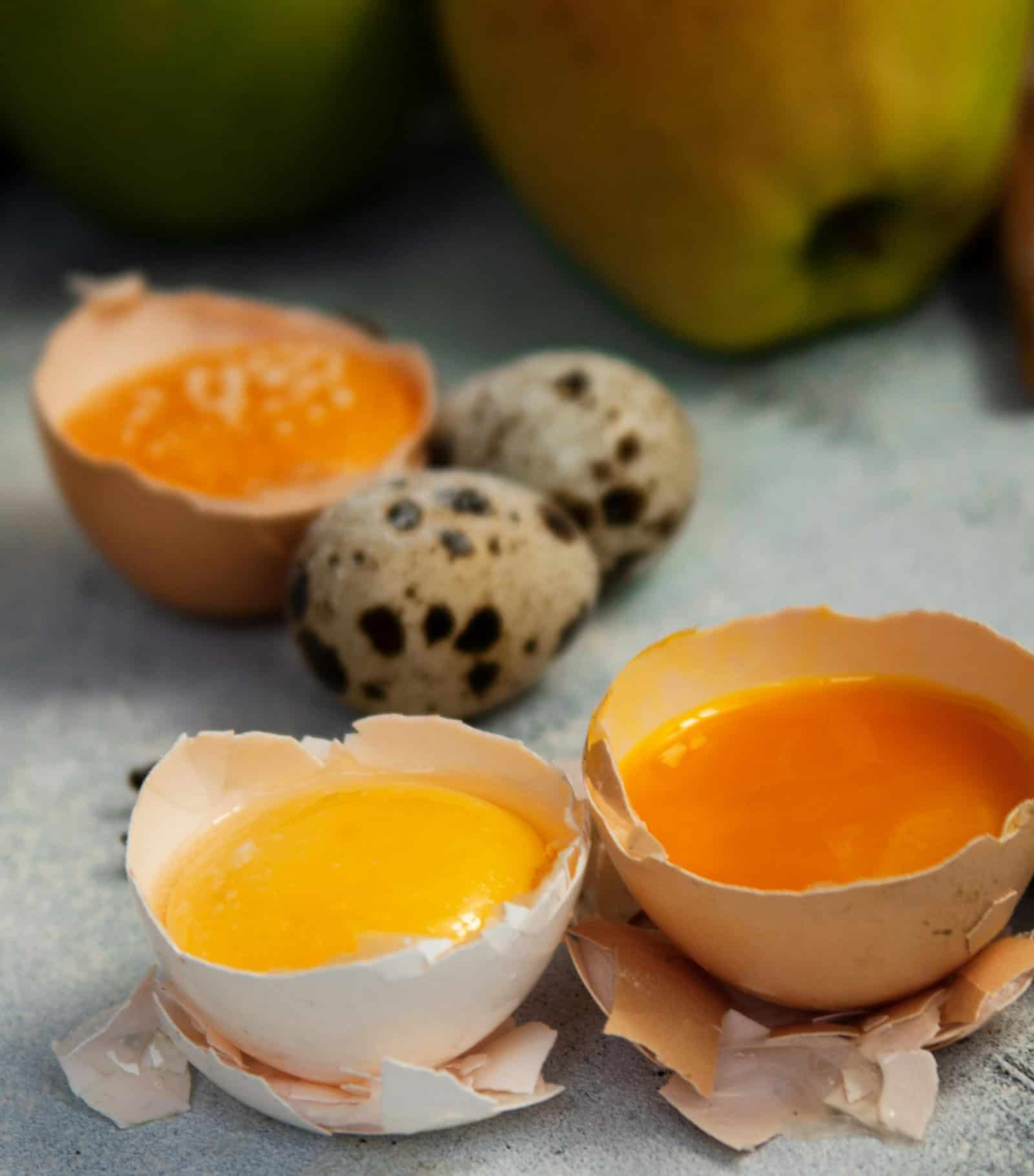 Closeup view of cracked chicken egg yolks in the egg shells after the egg whites have been separated out.