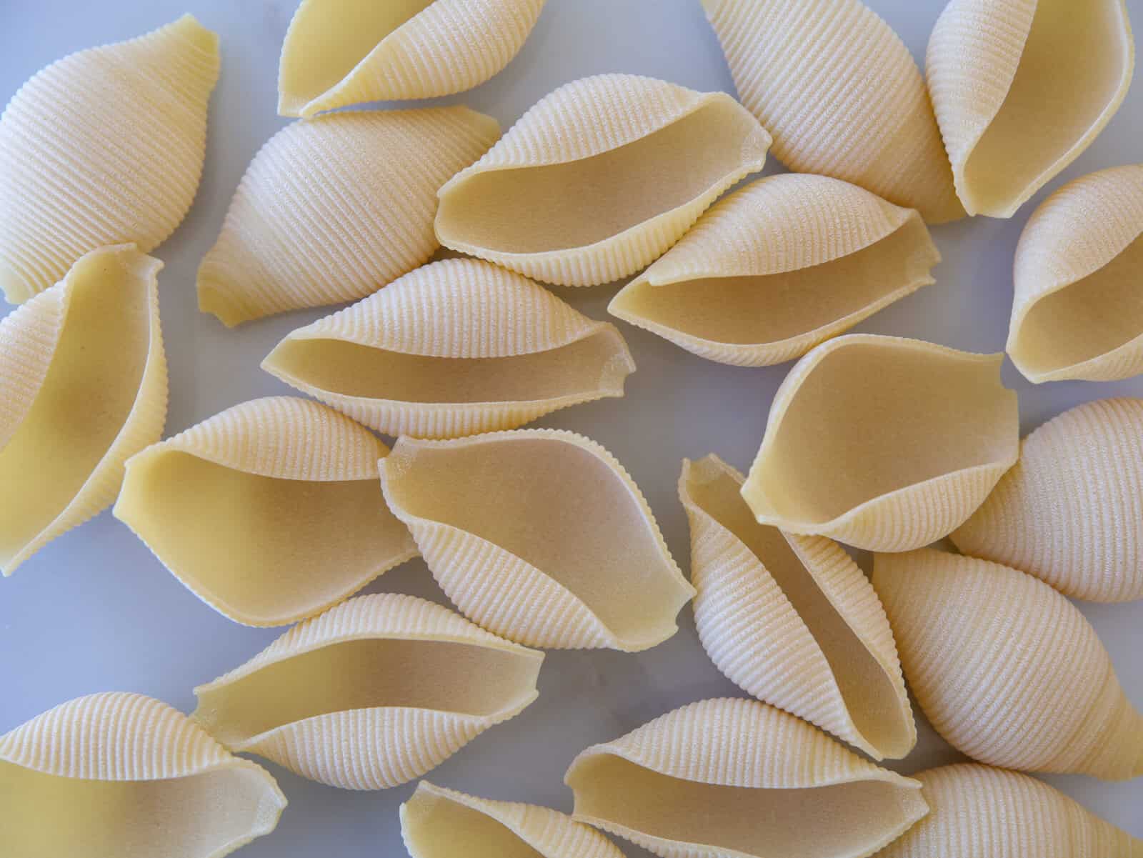 Close-up of several uncooked conchiglie pasta shells arranged on a white surface, showing their ridged texture and open, curved shape.