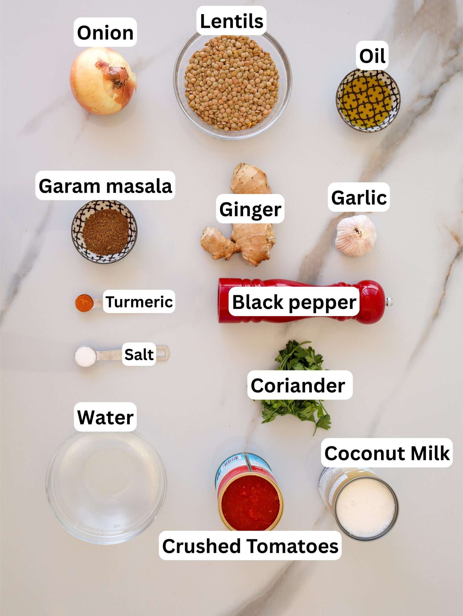 A flat lay of ingredients for a recipe, including onion, lentils, oil, garam masala, ginger, garlic, turmeric, black pepper, salt, coriander, water, coconut milk, and crushed tomatoes, each labeled.