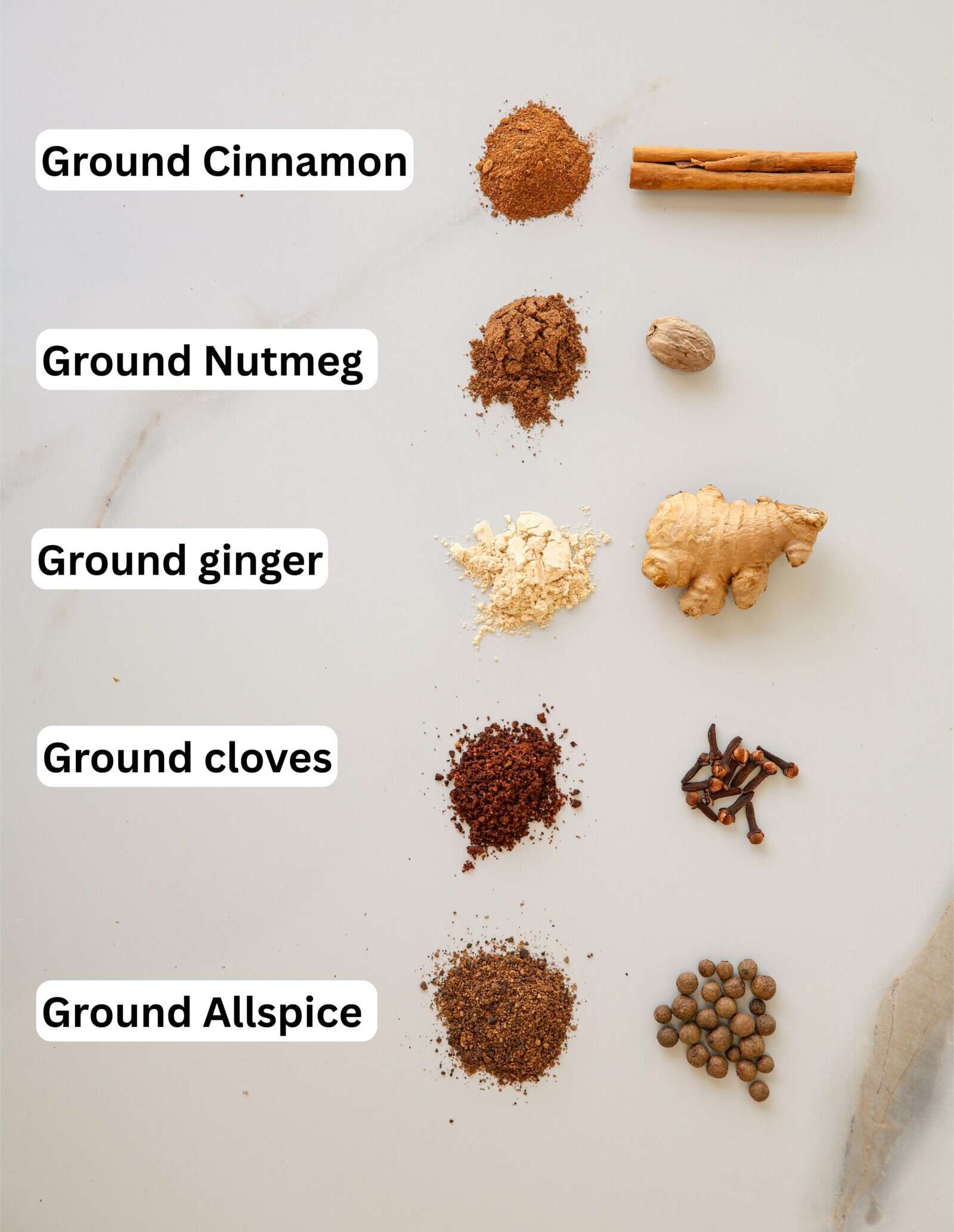 Five spices (pumpkin spice ingredients) are shown in both their ground and whole forms: cinnamon (stick and powder), nutmeg (whole and ground), ginger (root and powder), cloves (whole and ground), and allspice (whole and ground).