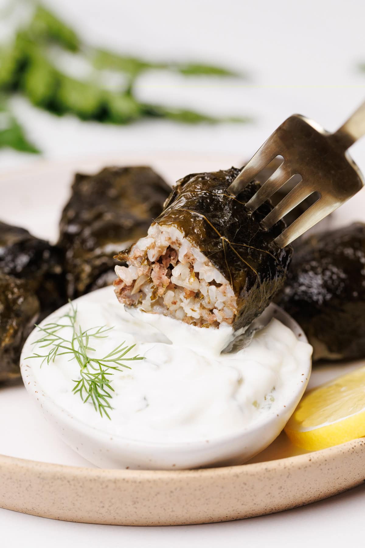 A fork holds a stuffed grape leaf filled with rice and meat, dipping it into a bowl of creamy white sauce garnished with fresh dill. Other grape leaves and a lemon wedge are on the plate in the background.