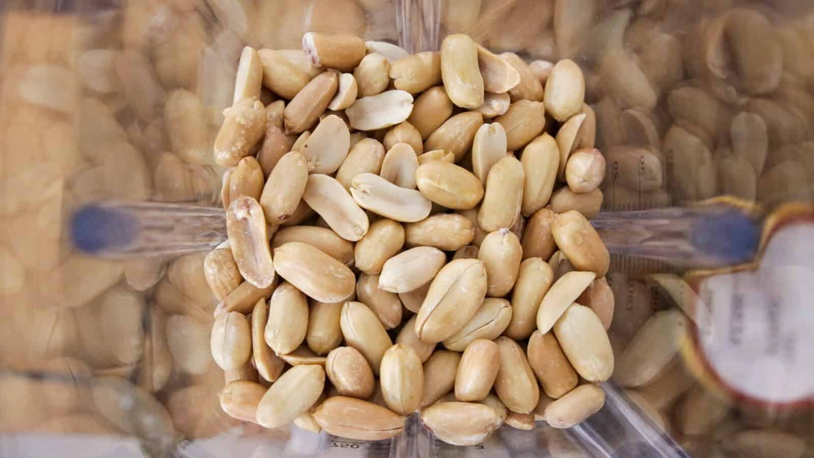 A close-up, top-down view of shelled peanuts inside a blender, ready to be processed. The blender's clear plastic sides and blades are visible around the peanuts.