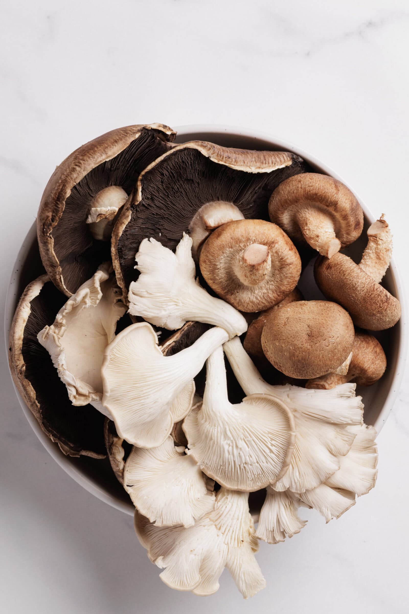 A bowl filled with a variety of fresh mushrooms, including dark portobello caps, pale oyster mushrooms, and brown shiitake mushrooms, set on a white marble surface.