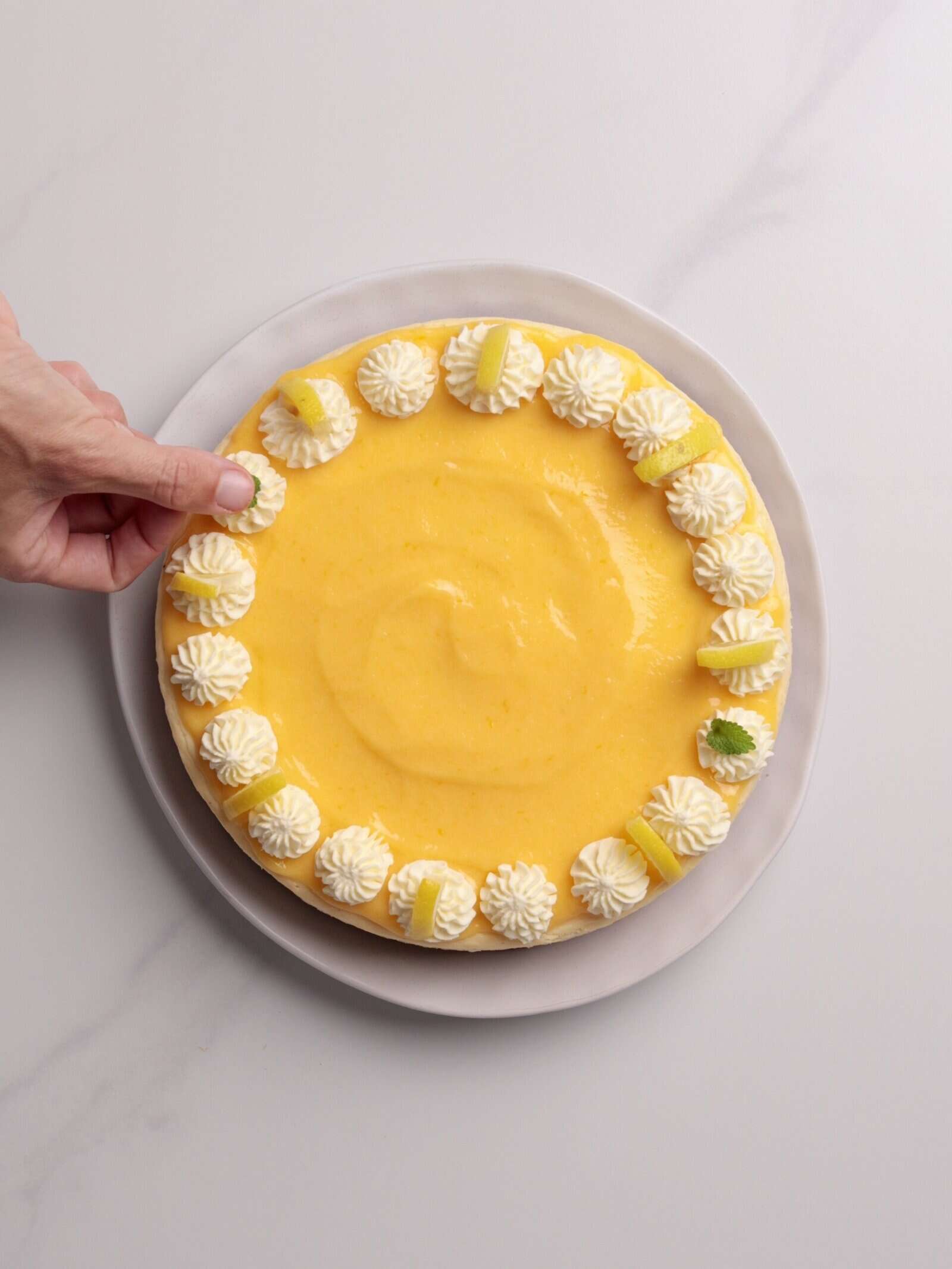 Best Lemon Cheesecake | Bright & Creamy - The Cooking Foodie