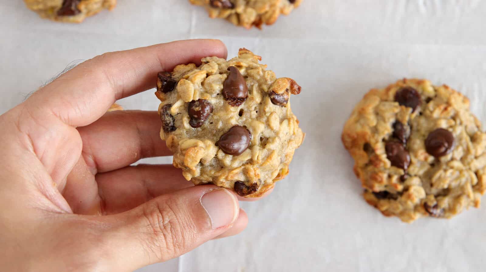 A hand holding an oatmeal chocolate chip cookie above a parchment-lined surface with more cookies in the background.