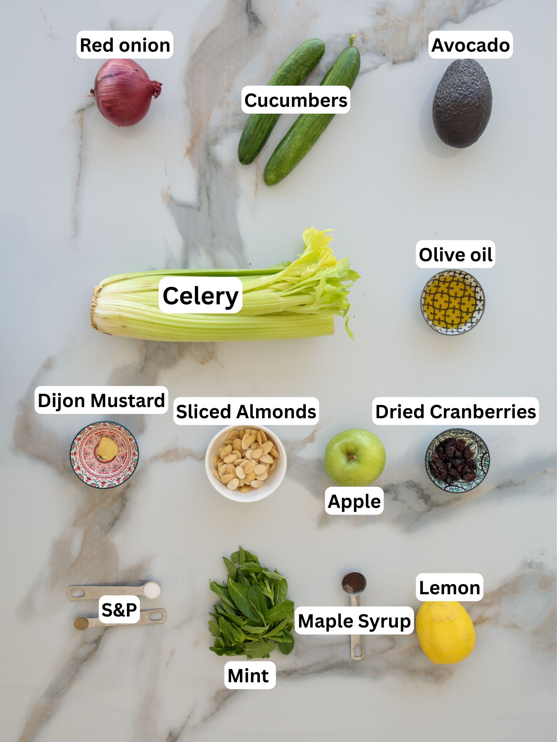 Assorted ingredients for a salad on a marble surface, including labeled red onion, cucumbers, avocado, celery, olive oil, Dijon mustard, sliced almonds, dried cranberries, apple, lemon, mint, maple syrup, and salt & pepper.
