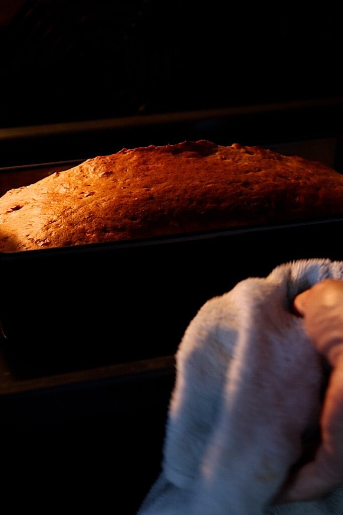 A loaf of bread rises in a dark oven as a hand with a white towel pulls out the baking tray.
