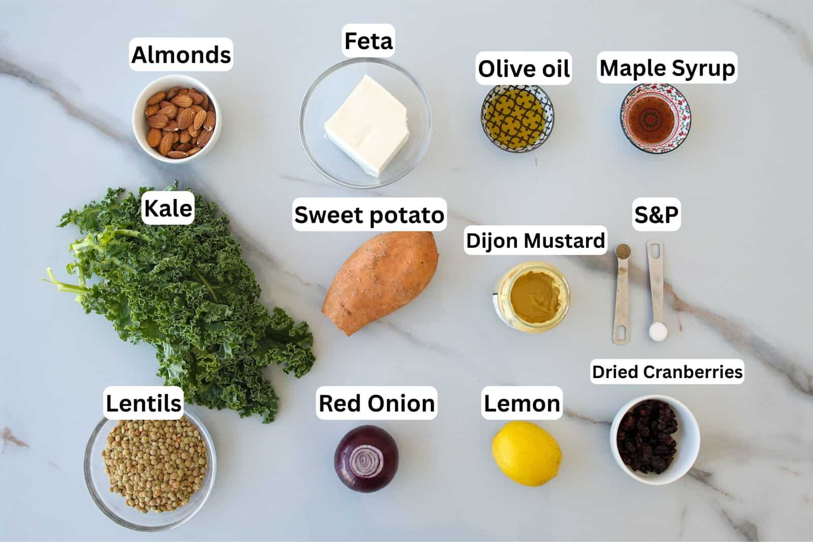 Ingredients for a salad are arranged on a countertop, including kale, lentils, sweet potato, red onion, almonds, feta, olive oil, lemon, maple syrup, dijon mustard, salt, pepper, and dried cranberries.
