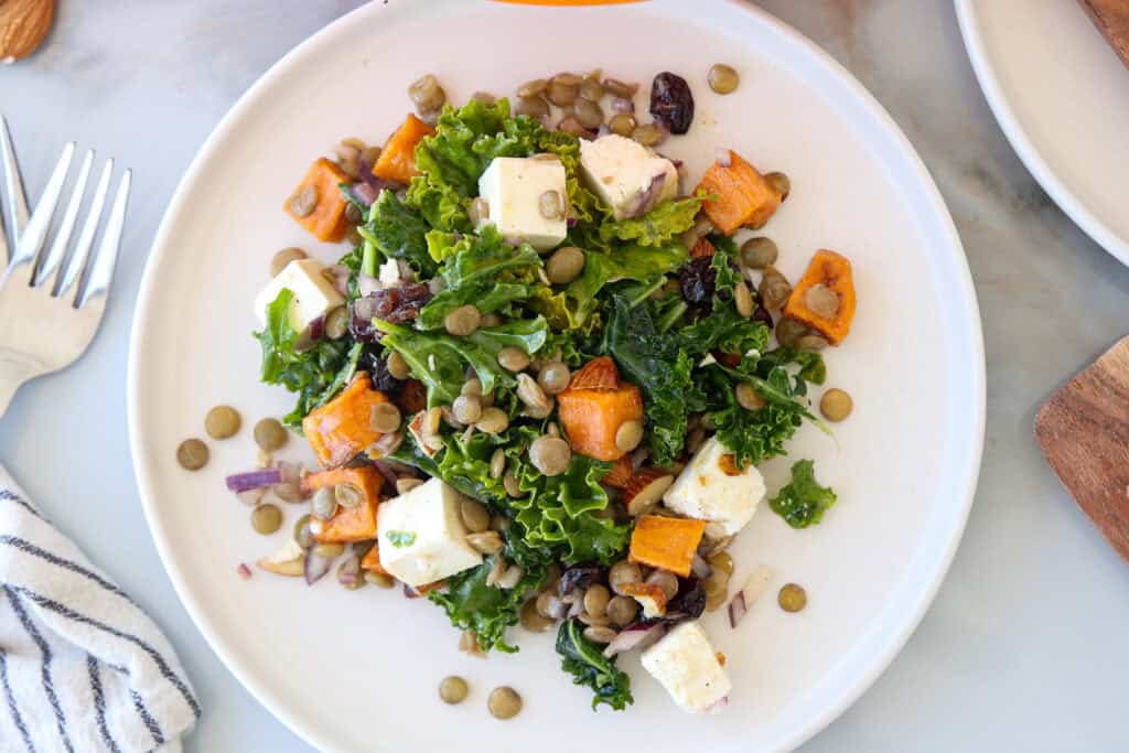 A salad with kale, lentils, roasted sweet potatoes, feta cheese cubes, red onions, and dried cranberries on a white plate, next to a fork and striped napkin.