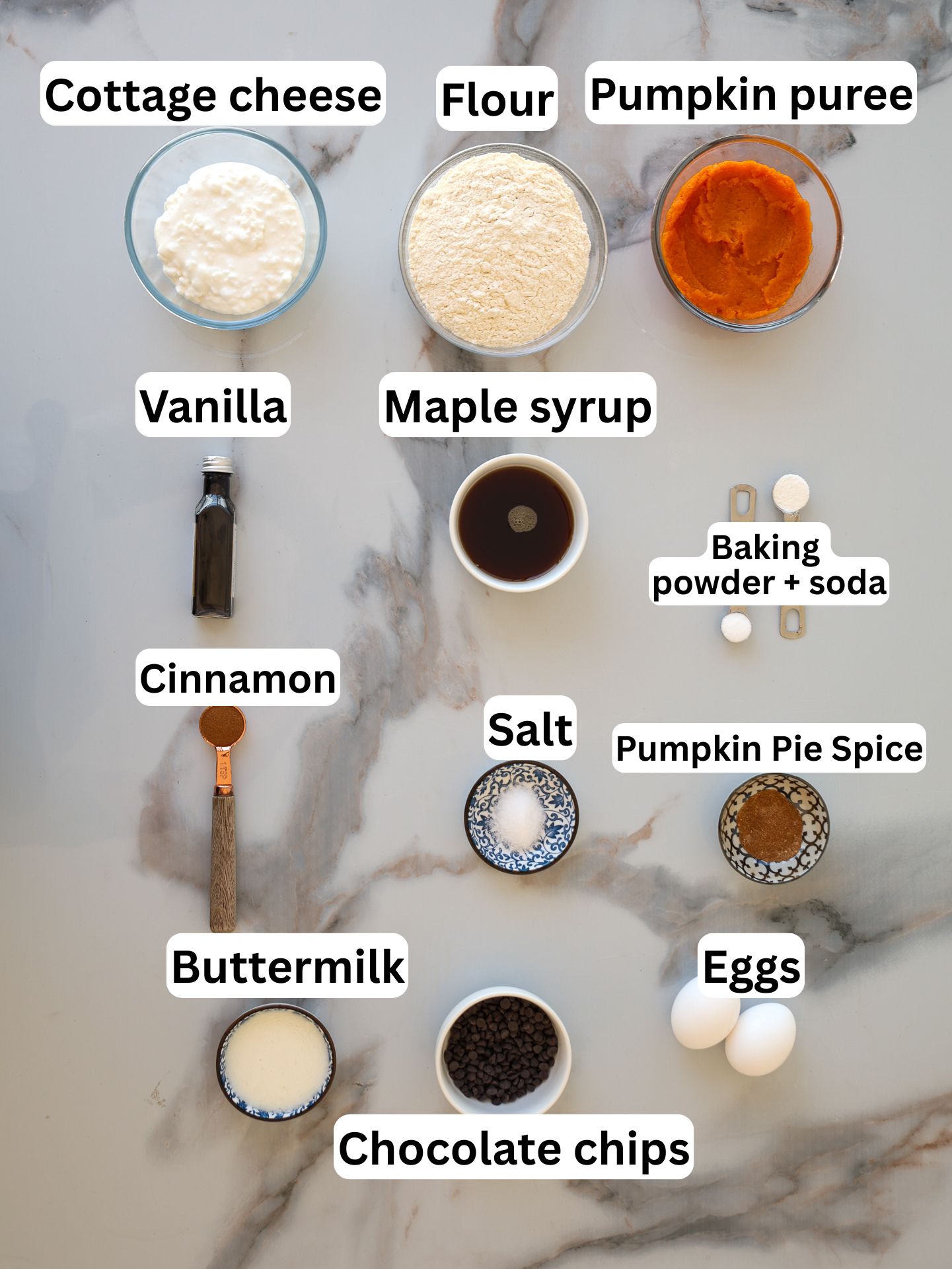 Twelve baking ingredients arranged on a countertop, each labeled: cottage cheese, flour, pumpkin puree, vanilla, maple syrup, baking powder and soda, cinnamon, salt, pumpkin pie spice, buttermilk, chocolate chips, and eggs.