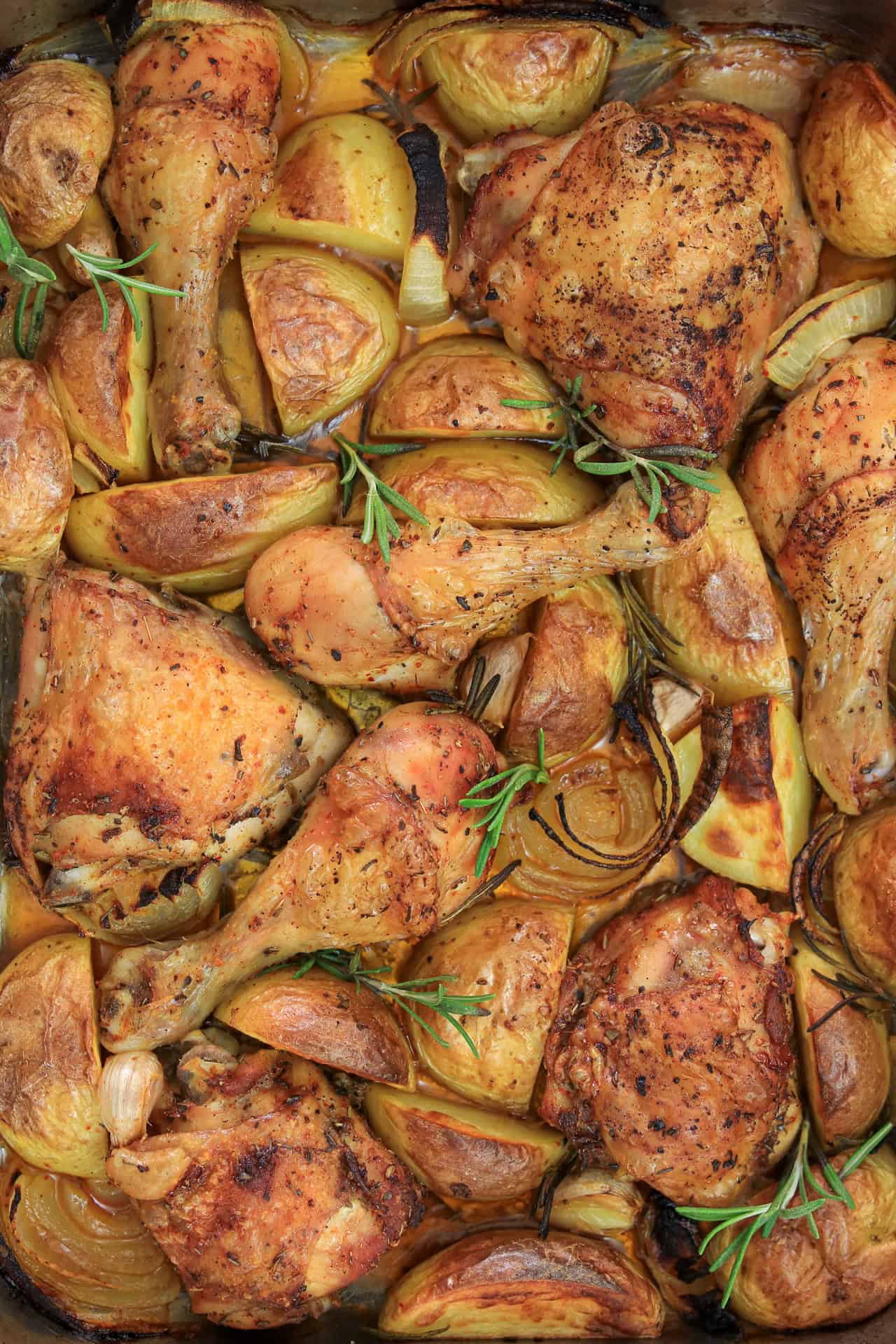 One pan roasted chicken legs and thighs with golden-brown potato wedges, onion slices, and sprigs of fresh rosemary, all cooked together in a baking dish.