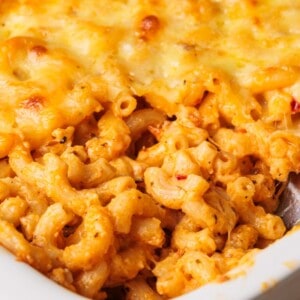 Spicy harissa macaroni and cheese in a white dish, topped with melted golden cheese and slightly browned edges, showing creamy pasta mixed with spices and bits of red pepper.
