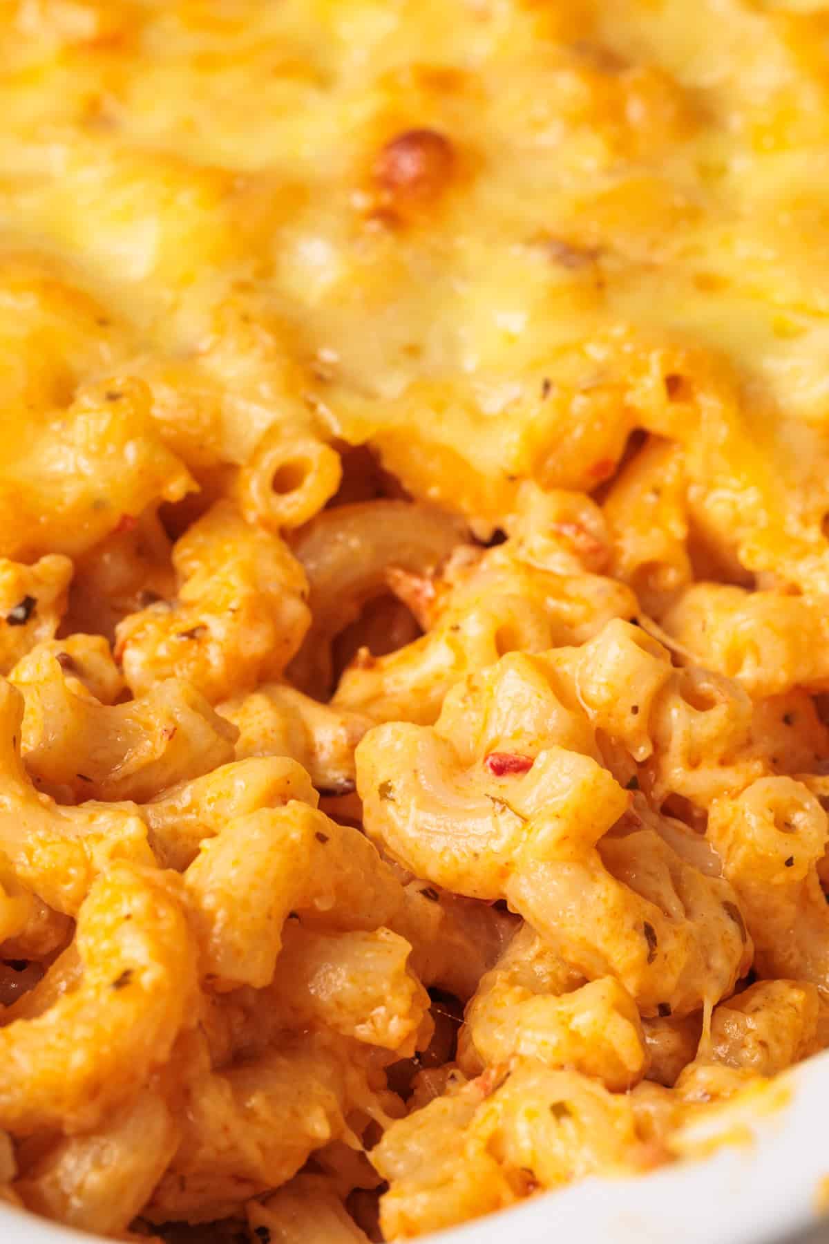 Close-up of baked spicy mac and cheese made with harissa, melted, golden cheese on top and creamy pasta beneath.